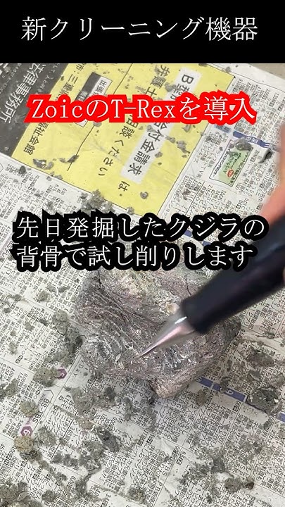 city_mizunami's tweet card. 瑞浪市化石博物館、新クリーニング機器導入。その威力は？「T-rex」#化石 #fossil