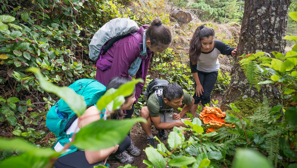 EcoleTransition's tweet card. Mais oubliez la classique tables/chaises et au tableau, non, à l’école où nous sommes on bêche, on plante, on scie, et on répare même les vélos ! Elle ouvre l’horizon des métiers liés à l’environne...