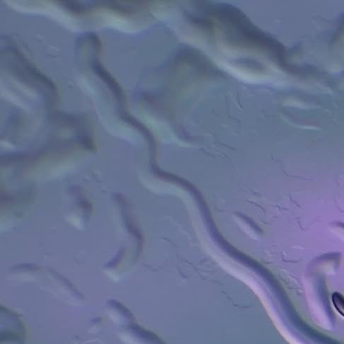 AssumptionNeuro's tweet card. Assumption_Neuroscience (@assumption_neuroscience) • Instagram photos and videos