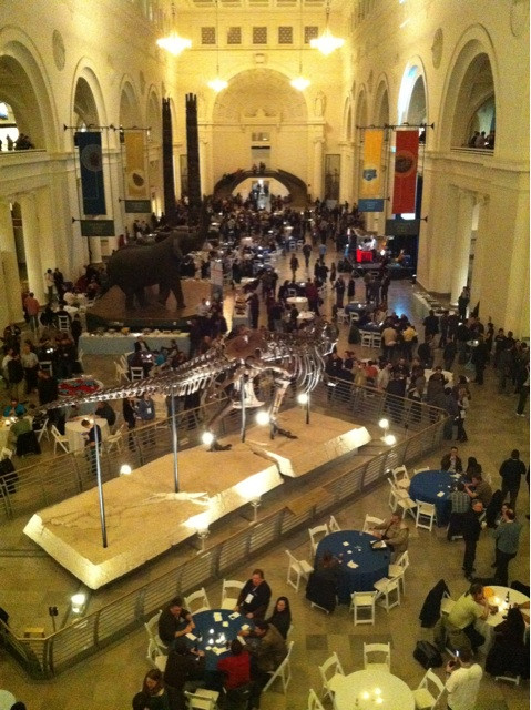 brian_cairns's tweet card. Drupal shindig at the Chicago Field Museum #drupalconchi