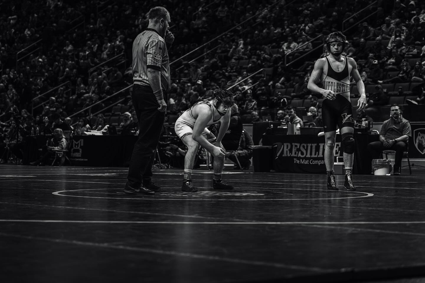 TheCompoundOG's tweet card. Get all of The Compound's content on Rokfin.