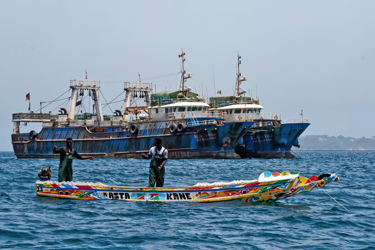 FishBaseProject's tweet card. The United Nations Ocean Conference, held June 9-13 in Nice, France, saw some progress on better protecting the hundreds of thousands of species that live in marine waters and the communities that...