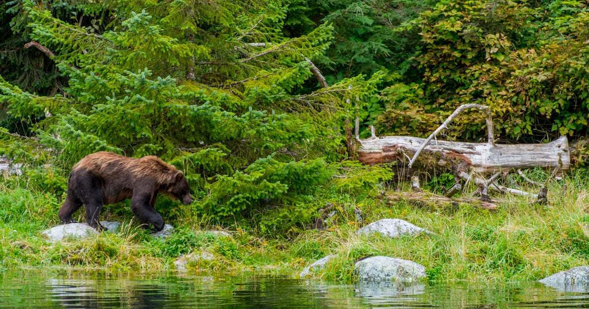 CBSMornings's tweet card. The hikers were hospitalized with non-life-threatening injuries, while officials said they would assess the site of the attack.