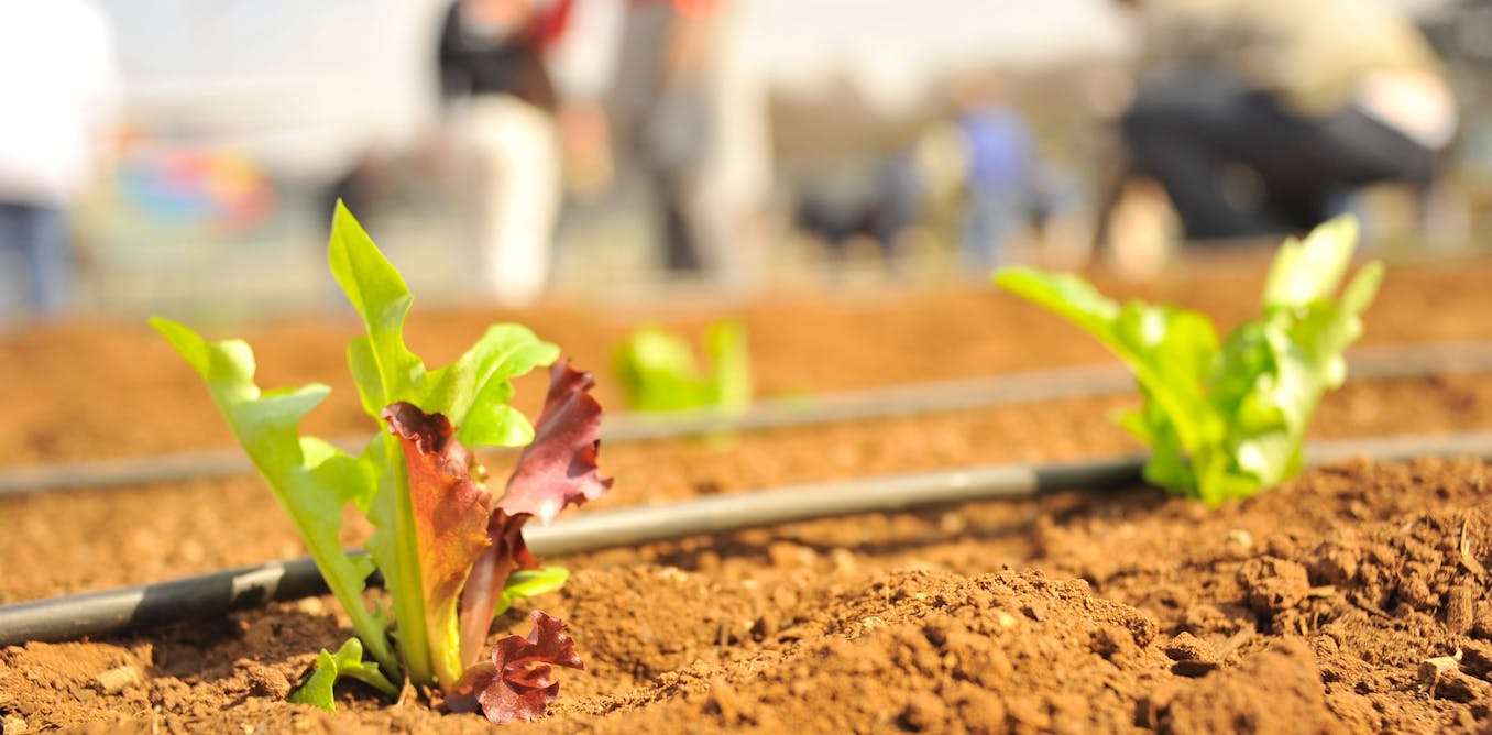 LabRural's tweet card. Dans un secteur agricole en plein questionnement face aux défis conjugués du changement climatique et des attentes sociétales, des tendances se dessinent.
