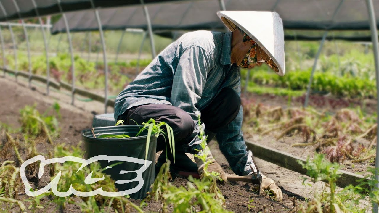 WriteRightCopy's tweet card. Vietnamese Cajun is the Unsung Food Hero of New Orleans | Supported...