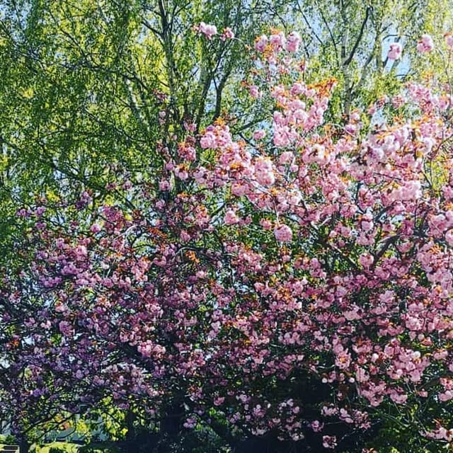 learner_swift's tweet card. Swift Learner (@swiftlearner) • Instagram photo