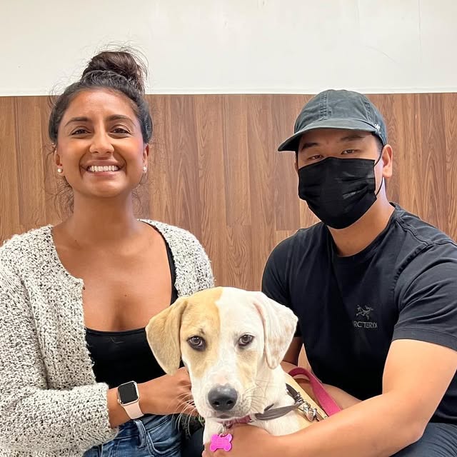 Dogwisedogs's tweet card. Heather Lawson (@dogwisetraining) • Instagram photo