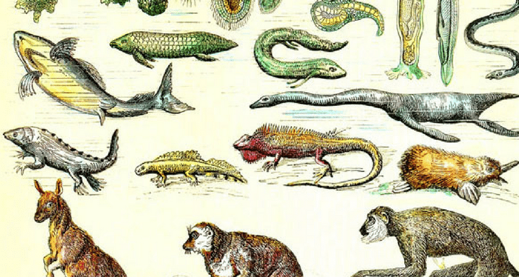 Indust_Scripts's tweet card. Screenwriters often naturally posses 2-3 of the so-called "big 5" screenwriting skills. But a screenwriter can acquires all five...