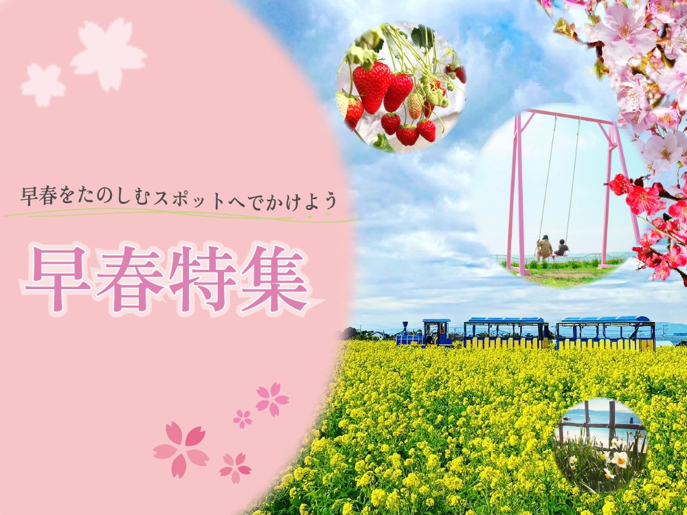 yokosukakanko's tweet card. 横須賀は早春でも比較的温暖な気候でお出かけにぴったり！四季折々の花や野菜、海産物などその時期ならではの魅力がた