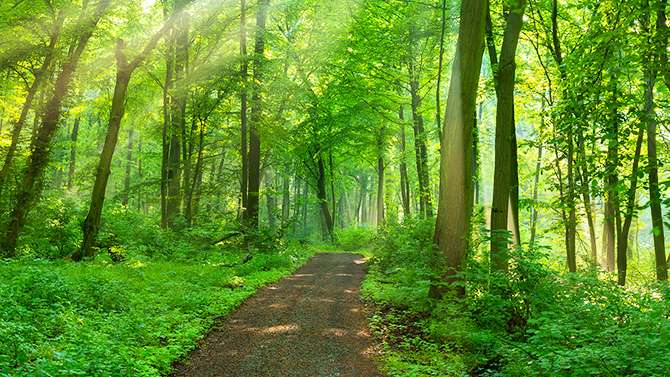 dynamic4's tweet card. Happy Social Enterprise Day 2023! A time to celebrate the amazing work social enterprises do. It's also a good time for a healthcheck.