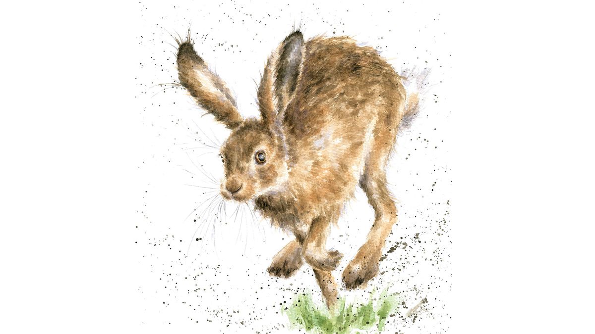CreativeBloq's tweet card. Capture a hare on the run with these tips from a globally renowned wildlife illustrator.