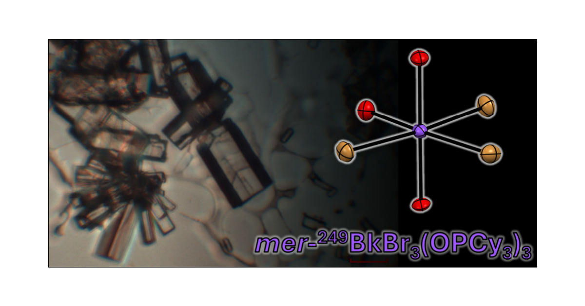 Jsperling91's tweet card. An example of a 249Bk3+ phosphine oxide complex has been prepared to examine and quantify the effects of the inverse trans-influence (ITI) on a late actinide complex. This has been accomplished...