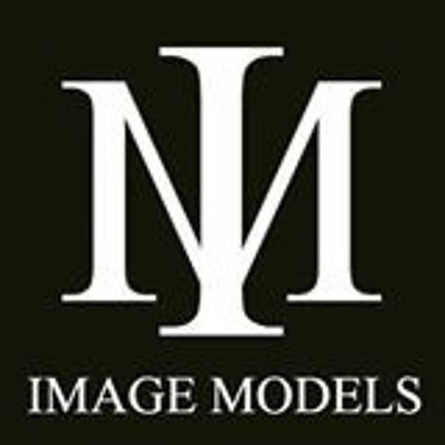 ImageModels_'s tweet card. Image Models