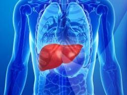 DocEducation's tweet card. Study finds the protein p62 is necessary and sufficient for development of liver cancer in mice and its high expression in non-cancerous liver tissue predicts recurrence in humans.