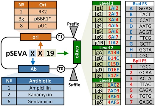 Jnogales_SBG's tweet card. Abstract. Modular cloning has become a benchmark technology in synthetic biology. However, a notable disparity exists between its remarkable development an
