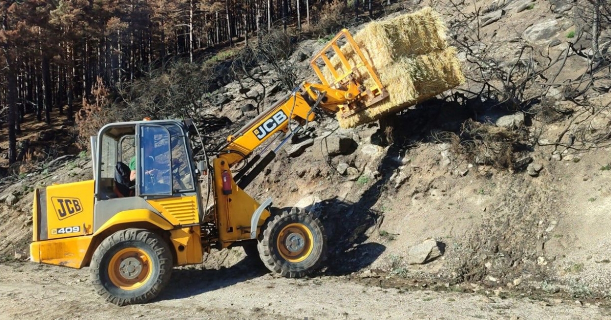 Infobierzo's tweet card. La Junta de Castilla y León ha destinado hasta la fecha una inversión de **16 millones de euros** en la ejecución de medidas de emergencia y en el desarrollo de un plan de restauración tras los...