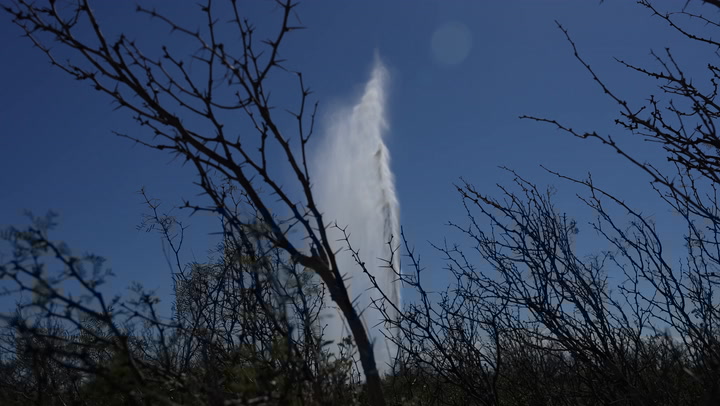 netzerofound's tweet card. A recent geyser from an old well drilled by a Kinder Morgan subsidiary raises questions about whether the Railroad Commission adequately heeded Apache's warning.