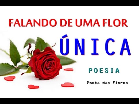 souzajosesocome's tweet card. FALANDO DE UMA FLOR ÚNICA (Poesia)