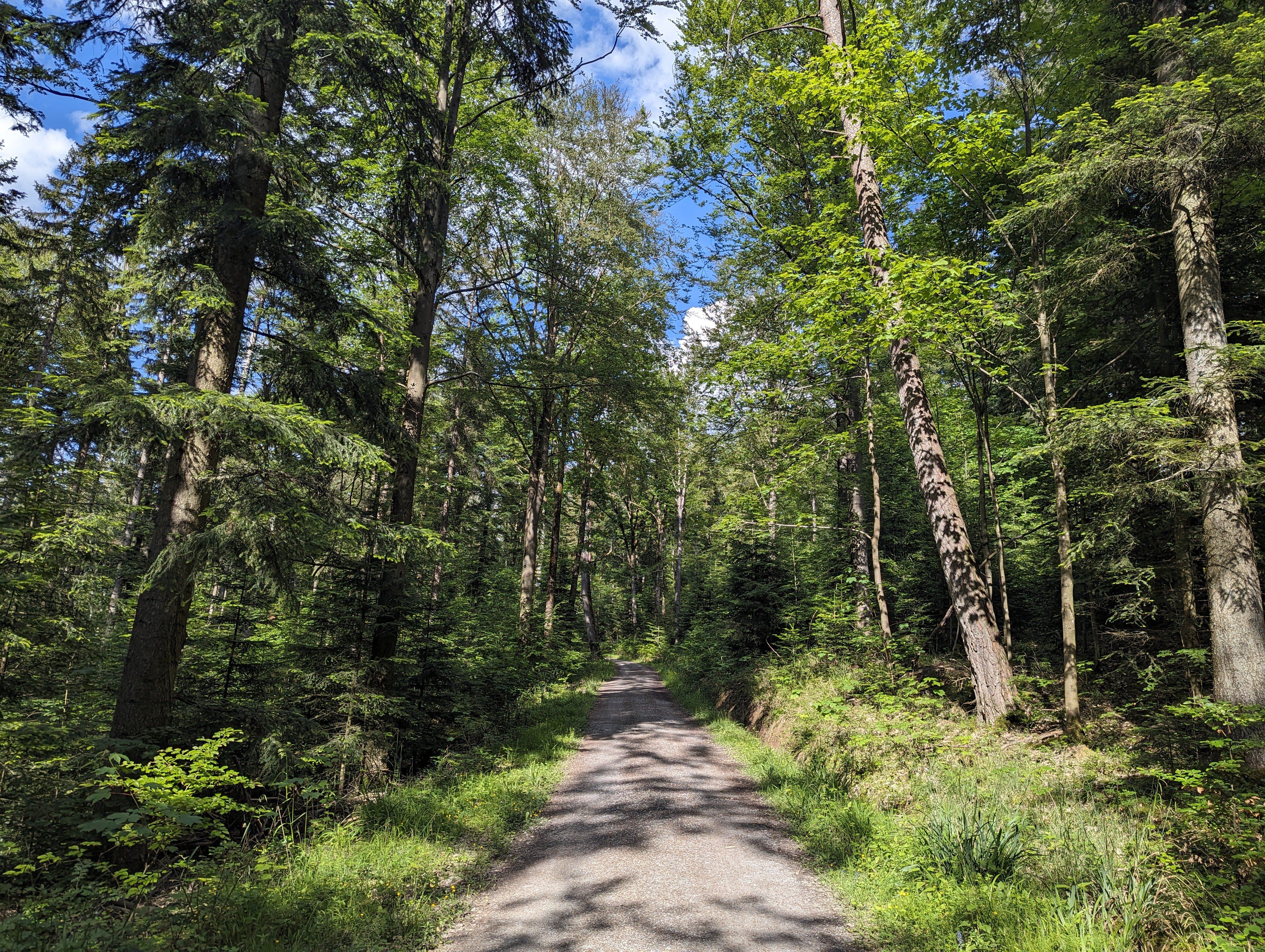 Smb_Wacker's tweet card. ➜ Schritt #1 Uns als Admin hinzufügen ➜ Schritt #2 den Service in den Warenkorb legen und bestellen. ➜Schritt #3 Ihre Daten an uns senden