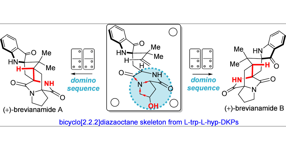 monosijnandy's tweet card. (+)-Brevianamides A (1a) and B (1b) are distinguished by their unique bicyclo[2.2.2]diazaoctane structure and have captured the interest of synthetic chemists due to their fascinating array of...