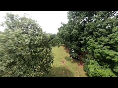 fpvers's tweet card. The Avatas & Pavo30 Pro