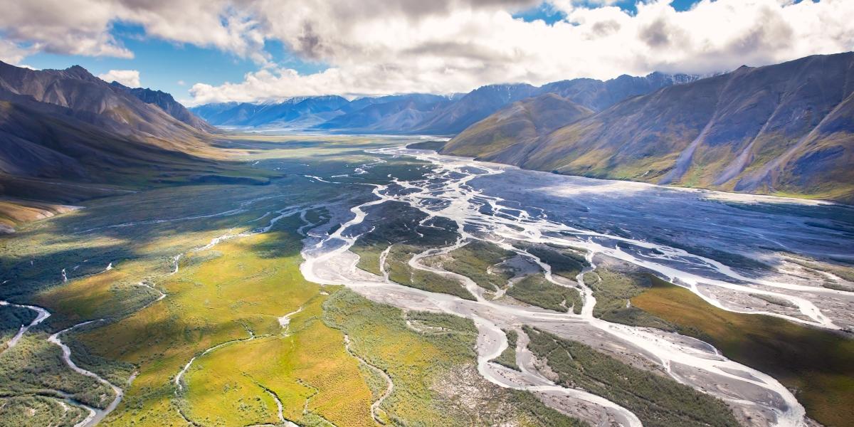 SecDebHaaland's tweet card. The Biden-Harris administration today announced significant steps to protect the Arctic National Wildlife Refuge (Arctic Refuge) and more than 13 million acres in the National Petroleum Reserve in...