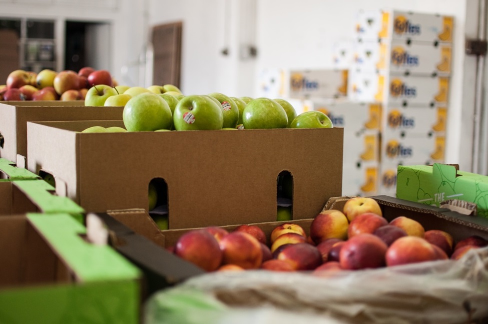 gleefulblogger's tweet card. Fruit Box iat workplace is a new hit that helps employees get a healthy & nutritious meal. Explore more about fruit boxes & why they are popular at the workplace.
