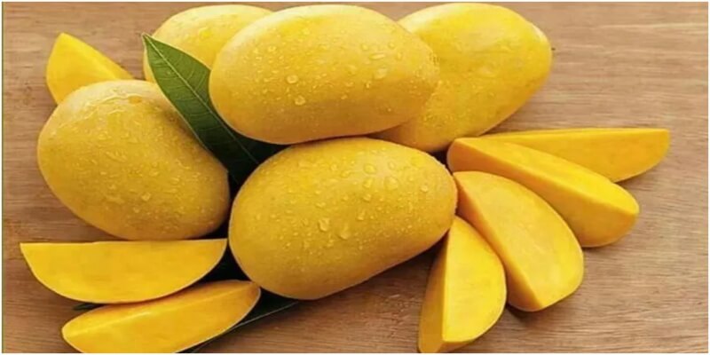 gleefulblogger's tweet card. Enjoy a fun mango quiz with answers, perfect for testing your knowledge and learning about this king of fruits!