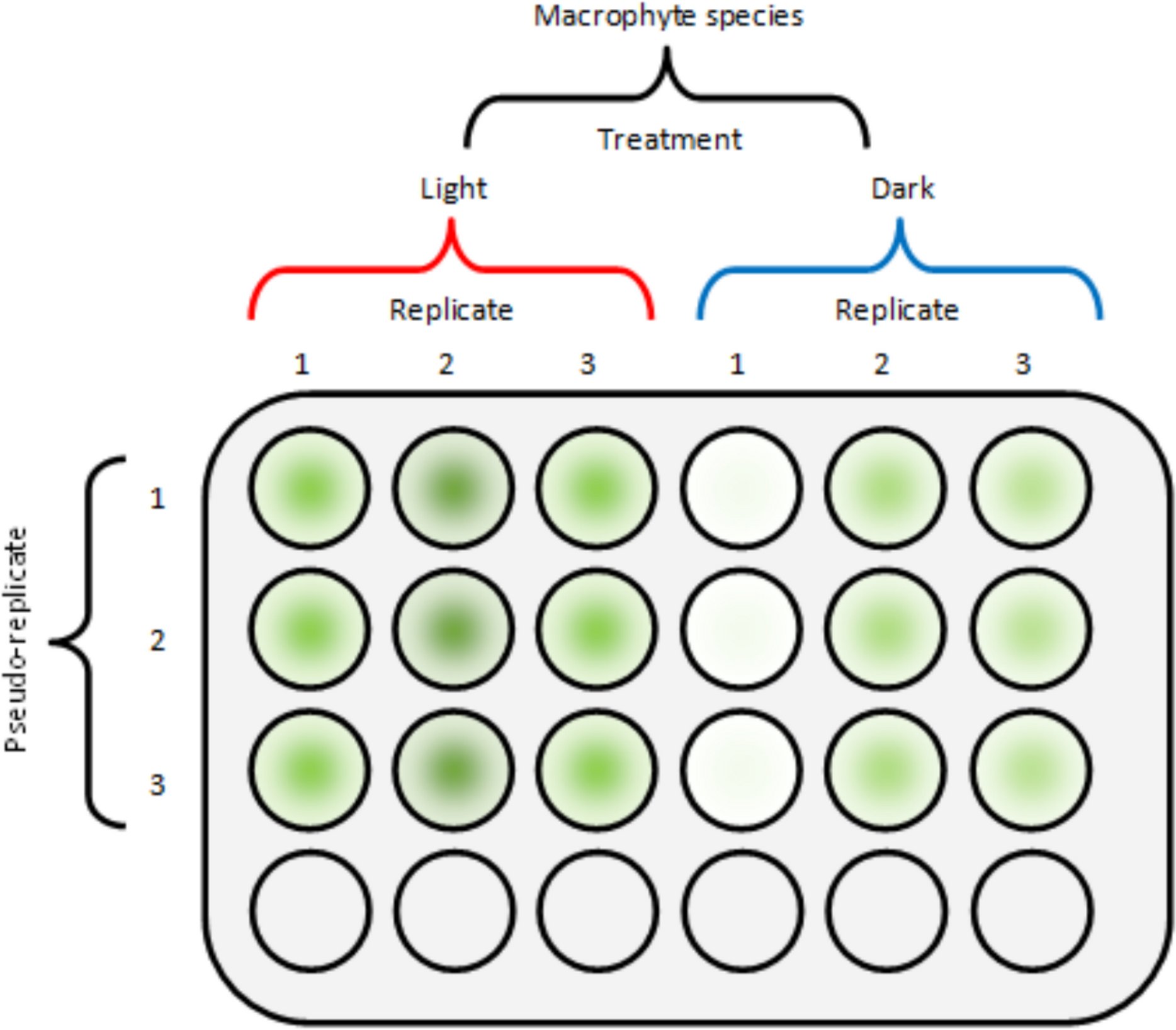 HYDR_Springer's tweet card. Hydrobiologia - Certain macrophytes can release allelopathic compounds that inhibit nuisance cyanobacterial growth. To determine the allelopathic potential of submerged macrophytes species native...