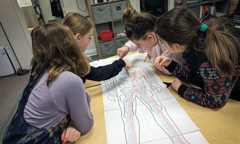 FairTestOffice's tweet card. Waite: Respondents to Canopy project point to student presentations & portfolios, school culture and attendance among indicators of real quality