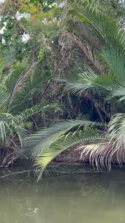 InterplastSurg's tweet card. Bangkrajao #thailandtravel #thailand