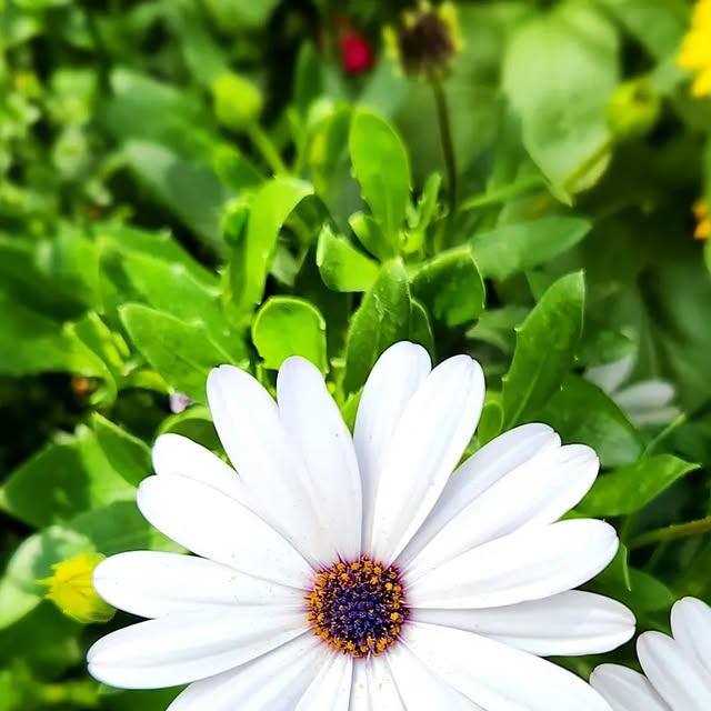 Zach5280's tweet card. Zachary Varón (@zach5280) • Instagram photos and videos