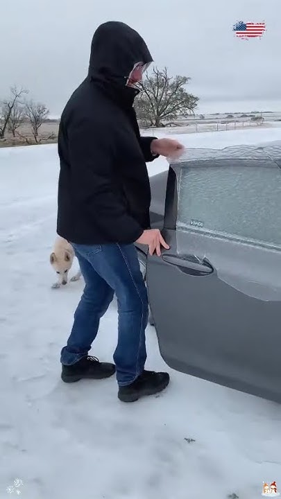 Dimirogo's tweet card. It’s Snowing ❄️✨ | When the World Turns Quiet