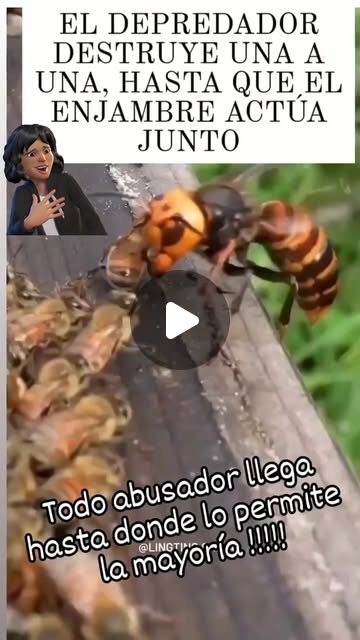 AlbertoCaldern4's tweet card. lidia Garcia Meléndez (@garme9876) • Instagram reel