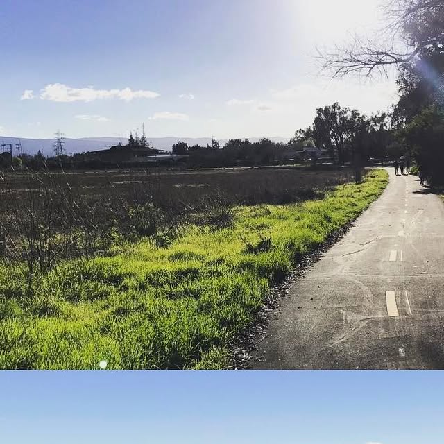 k_irizawa's tweet card. Kris Irizawa (@k_irizawa) • Instagram photo