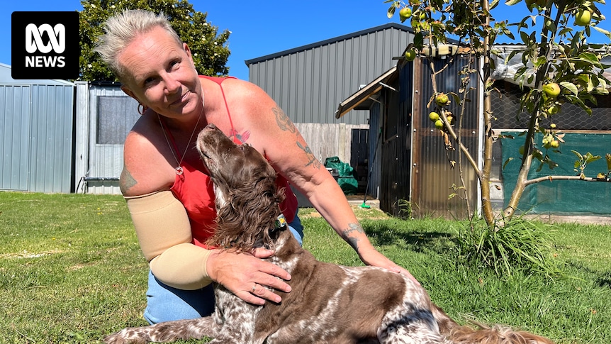 AdamHolmes010's tweet card. Plans to build a co-located private hospital at the Launceston General Hospital have been shelved just months before construction was due to start — with fears that will make Tasmania's growing...