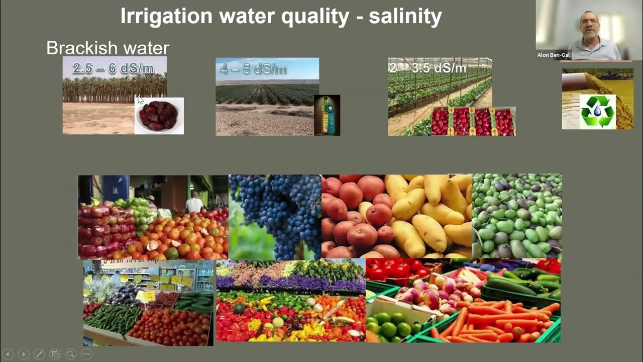 FruitCrews's tweet card. WG4 group progress, 16 June 2025