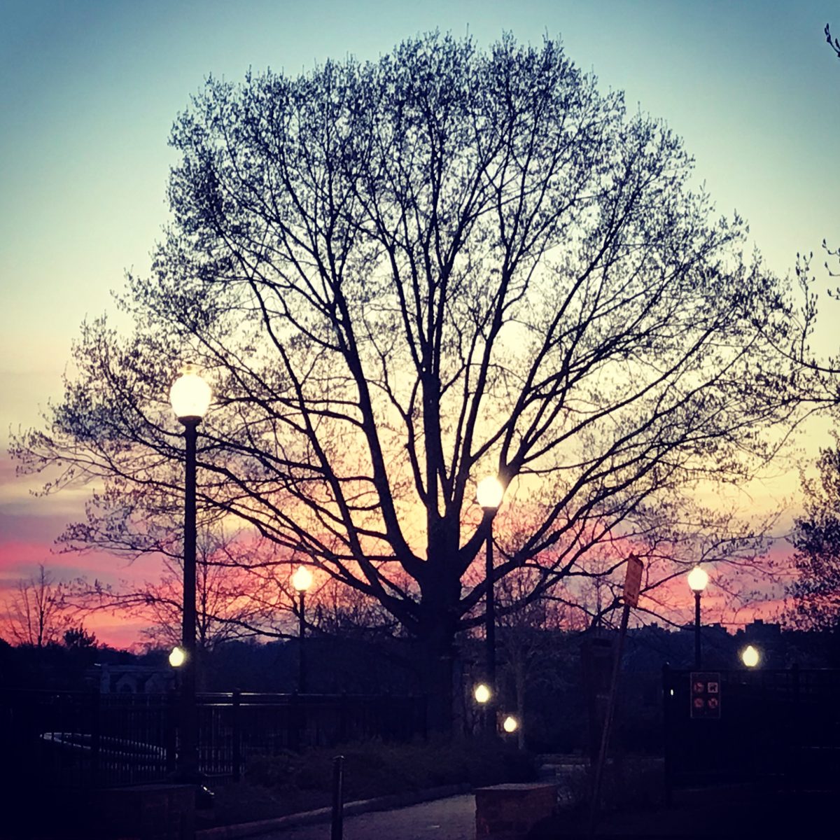 yoyoyow2022's tweet card. 今回は私なりにアマプラ(amazon Prime Video)で見れる本当に面白い映画を選んでみました！ 面白いという部分、ワハハ！と大笑いするという訳ではなく、じわじわと面白かったと思える映画で、アマプラ(amazon Prime Vid