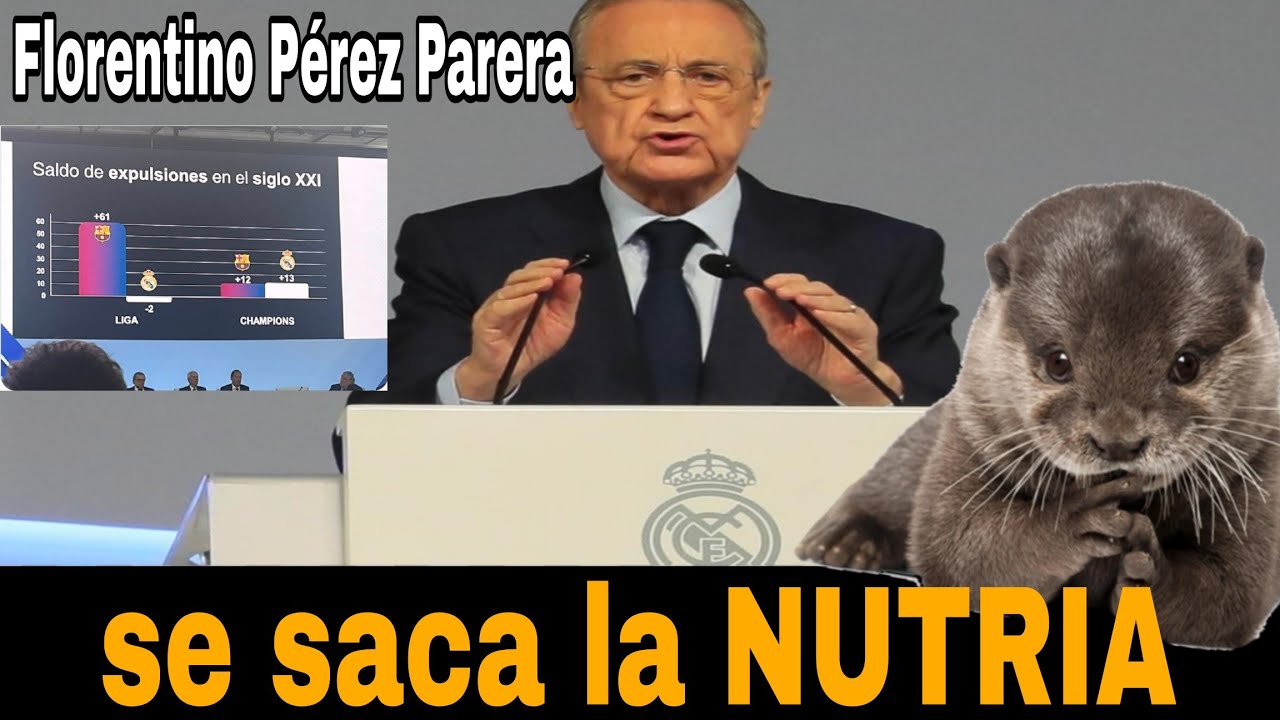 Popy20072012's tweet card. ‼️Florentino se saca la NUTRIA ‼️ | ASAMBLEA 2025 REAL MADRID