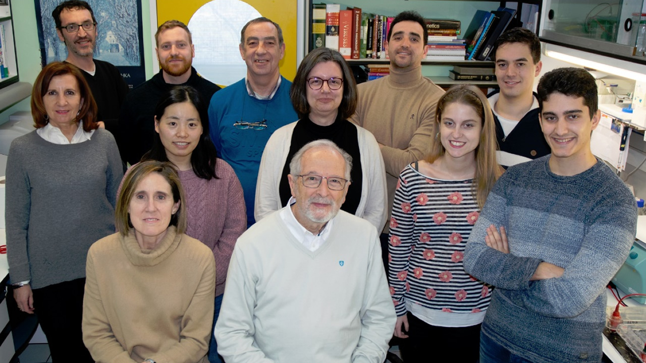 MariaDMayan's tweet card. El país tiene talento para competir en primera línea mundial, pero carece de los medios y de la infraestructura empresarial que han posibilitado el éxito de otras terapias que ya están en el mercado