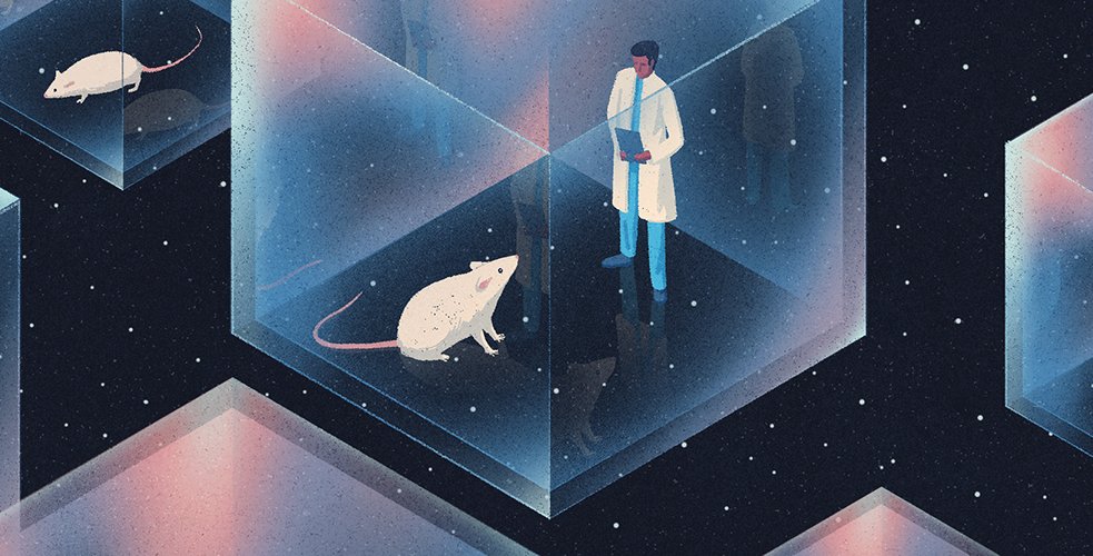 anne_churchland's tweet card. Building a New Model for Neuroscience Research on Simons Foundation