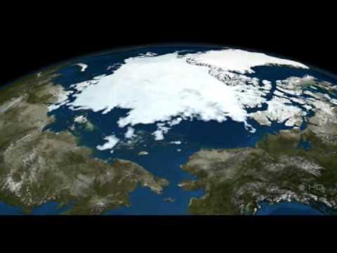 earthblog's tweet card. Polar Bears Never Cry (Yogzatot 012)