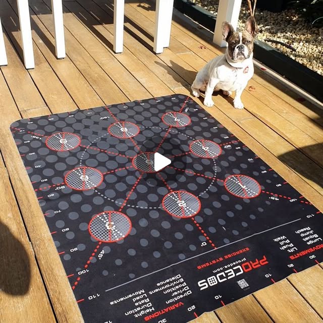 train3dAUS's tweet card. T R A I N 3D AUSTRALIA (@train3daustralia) • Instagram video