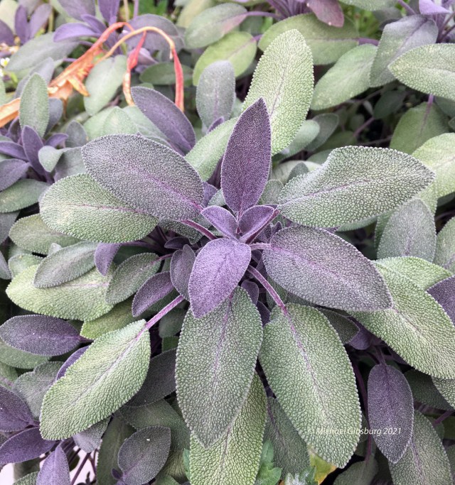 downsizinghome's tweet card. Conversations about the end of life, especially our own life, can be uncomfortable, even difficult. But making decisions now can help support and nurture us, help us focus on what is of great impor…