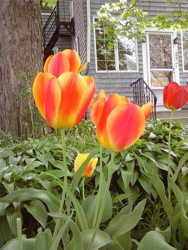 downsizinghome's tweet card. Photo by Michael Ginsburg It’s that time of year again when people will soon be throwing open their windows and declaring that it’s time for spring cleaning. Some people may actually ta…