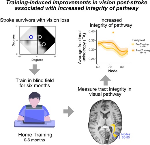 hannaxwillis's tweet card. Willis et al. show that 6 months of motion discrimination training for stroke survivors with visual field deficits improved visual function. This improveme