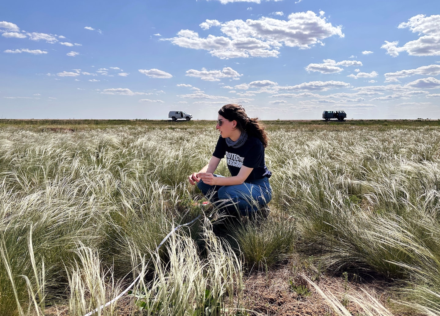 BethanFManley's tweet card. What they learn could help save these crucial networks elsewhere in the planet as climate change threatens them.