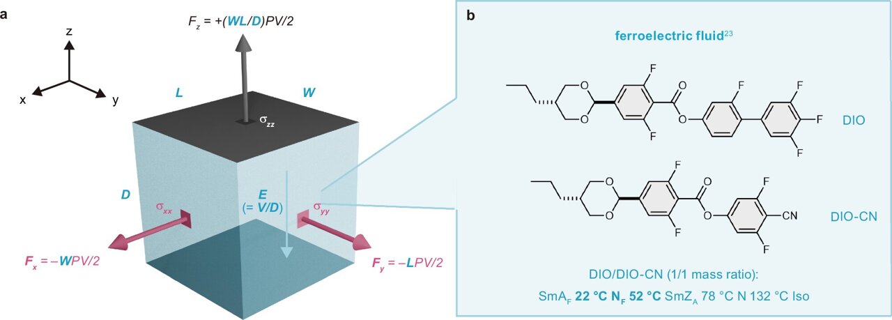 TechXplore_com's tweet card. Researchers have discovered that ferroelectric fluids can harness an overlooked transverse electrostatic force (TEF) to rise over 80 mm, without magnets or high voltages. By exploiting the fluid's...