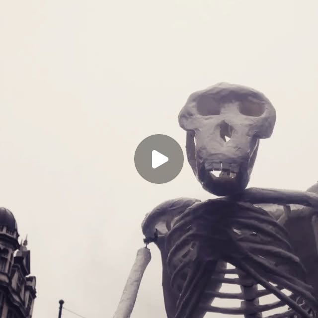 uptreeslog's tweet card. Henrik G Dahle (@artofclimbingtrees) • Instagram video