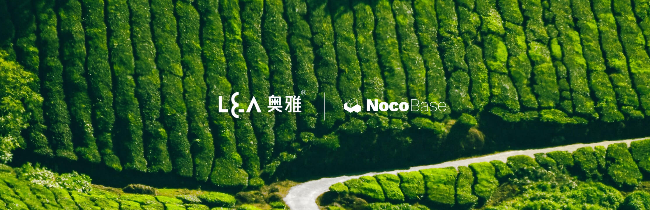 NocoBase's tweet card. Starting from its business needs, L&A uses NocoBase to build a system and applies it to multiple scenarios, promoting data democratization and refined management.